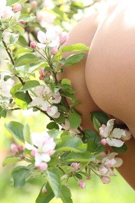 画像のタグ: Ass - Butt