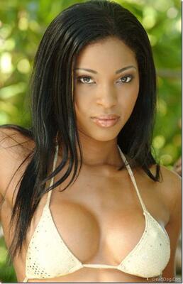 画像のタグ: Black