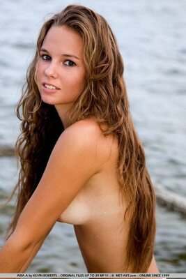 画像のタグ: MET Art