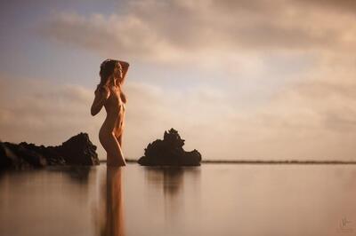 画像のタグ: Nature